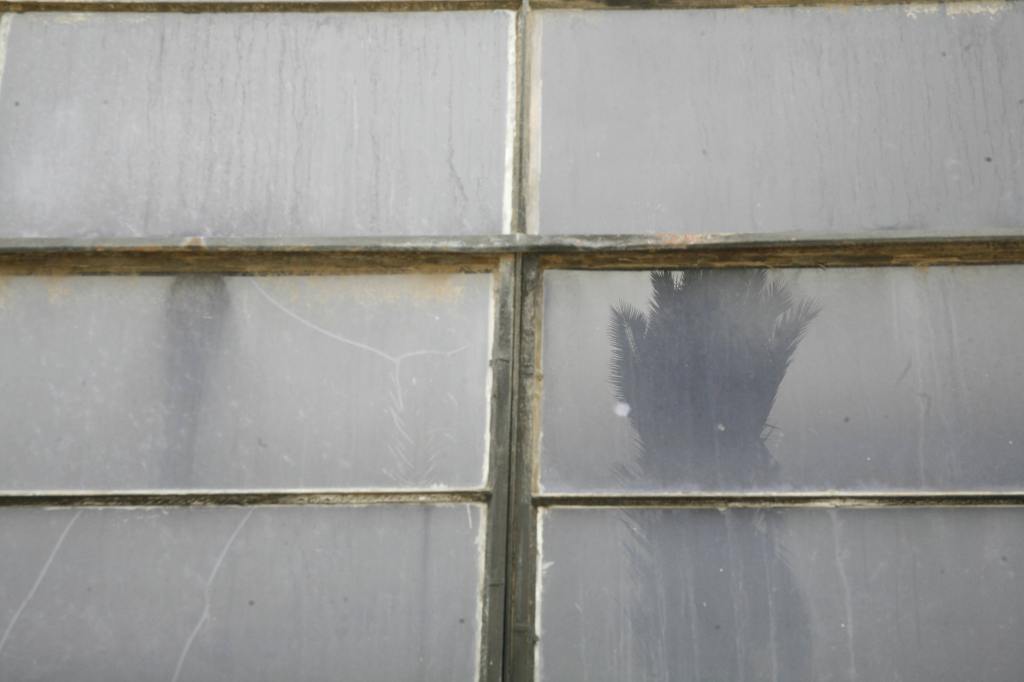 Sobre lo que no&nbsp;dije